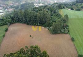 DJI_0272.JPG