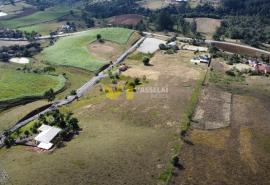 DJI_0477.JPG