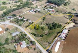 DJI_0505.JPG
