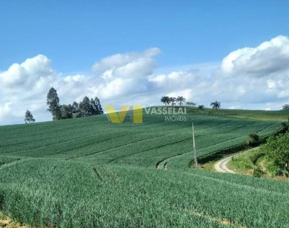 Terreno Agrícola para Venda na Estrada Geral Serra Caçador - Laurentino