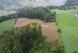DJI_0271.JPG