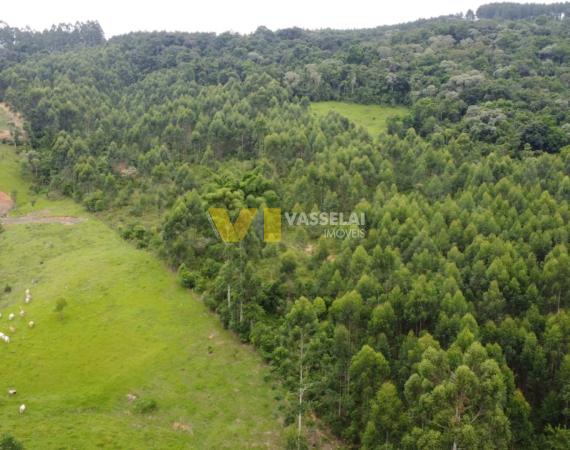 Sítio para Venda - Estrada Linha Riachuelo, Lontras