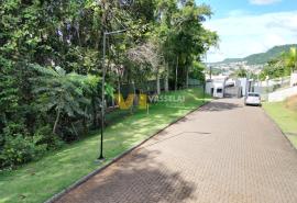DJI_0946.JPG