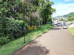 DJI_0946.JPG