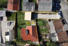 DJI_0449.JPG