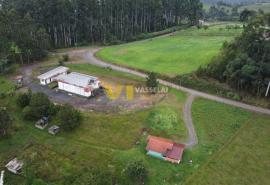 DJI_0262.JPG