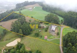 DJI_0266.JPG