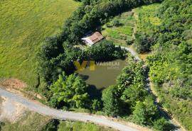 DJI_0141.JPG