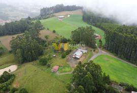 DJI_0267.JPG
