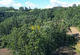 DJI_0147.JPG