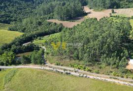 DJI_0137.JPG