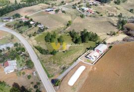 DJI_0506.JPG