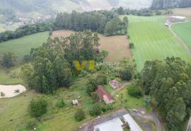 DJI_0270.JPG